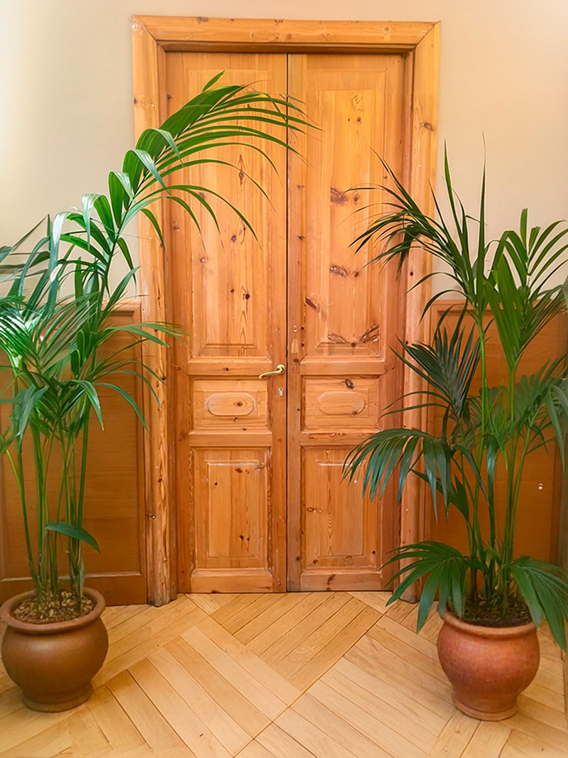 Puertas de exterior de madera de una hoja